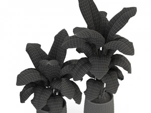 Plants collection 311 3D Model
