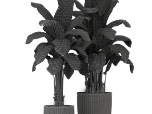 Plants collection 312 3D Modell