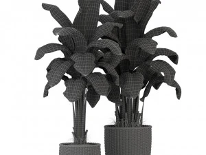 Plants collection 312 3D Model