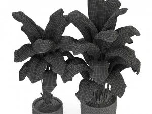 Plants collection 312 3D Model
