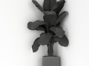 Plants collection 313 3D Model