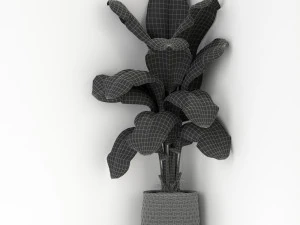 Plants collection 313 3D Model