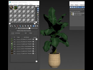 Plants collection 313 3D Model