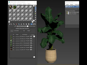 Plants collection 313 3D Model