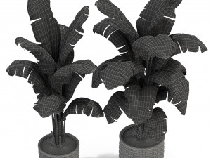 Plants collection 314 Model 3D
