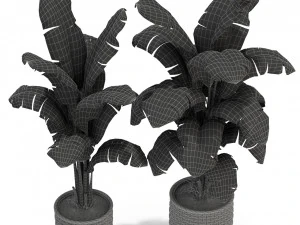 Plants collection 314 3D Model
