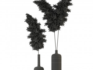 Plants collection 315 3D Model