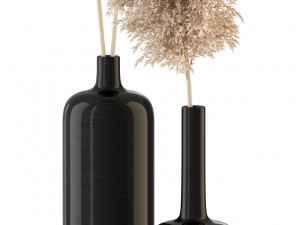 Plants collection 315 3D Model