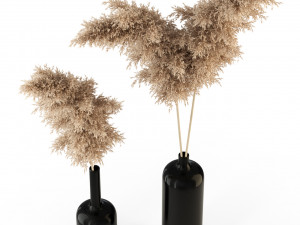 Plants collection 315 3D Model