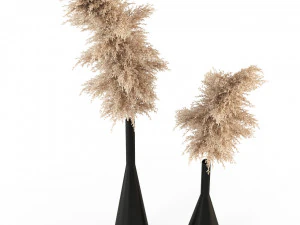 Plants collection 316 3D Model