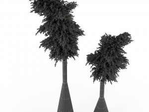 Plants collection 316 Modello 3D