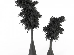Plants collection 316 3D Model