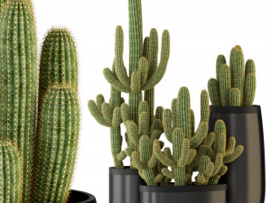 Plants collection 317 Model 3D