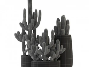 Plants collection 317 3D Model