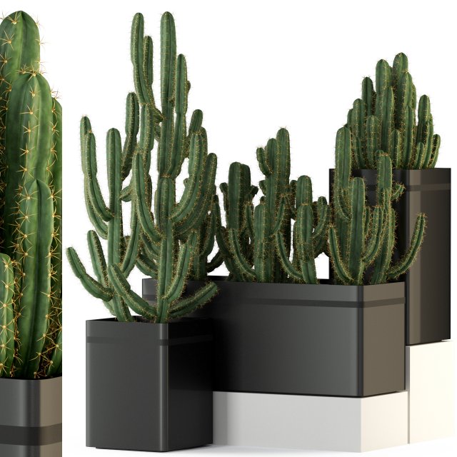 Plants collection 318 3D 모델 .c4d .max .obj .3ds .fbx .stl .blend