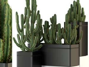 Plants collection 318 3Dモデル