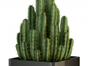 Plants collection 318 3D Model