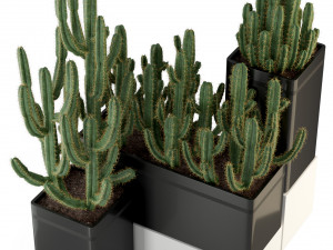 Plants collection 318 3D 모델