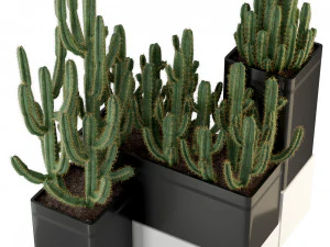 Plants collection 318 3D Model
