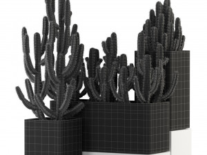 Plants collection 318 3D 모델