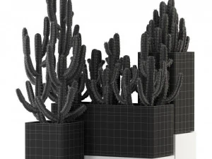 Plants collection 318 3D Model