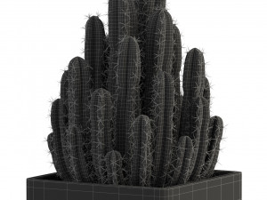 Plants collection 318 3D 모델