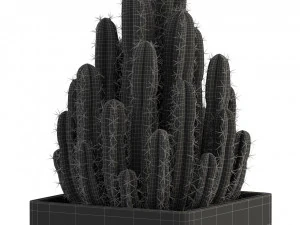 Plants collection 318 3D Model