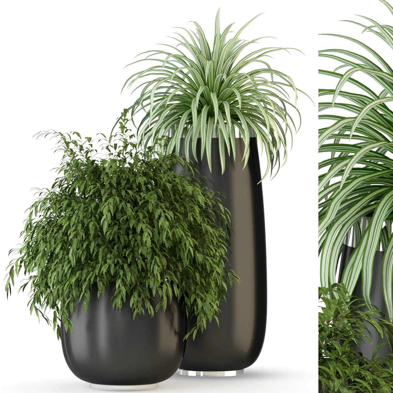 Plants collection 319 3D Model .c4d .max .obj .3ds .fbx .stl .blend