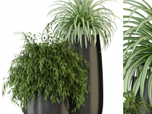 Plants collection 319 Model 3D