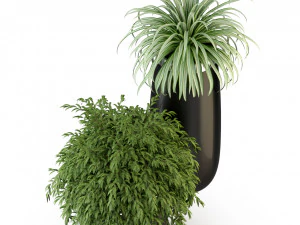 Plants collection 319 3D Model