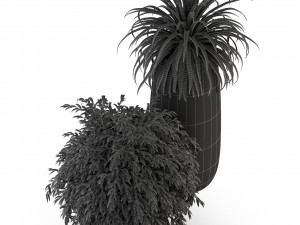 Plants collection 319 Model 3D