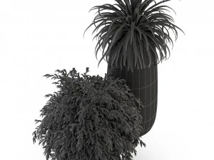 Plants collection 319 3D Model