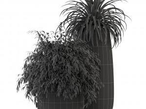 Plants collection 319 Model 3D