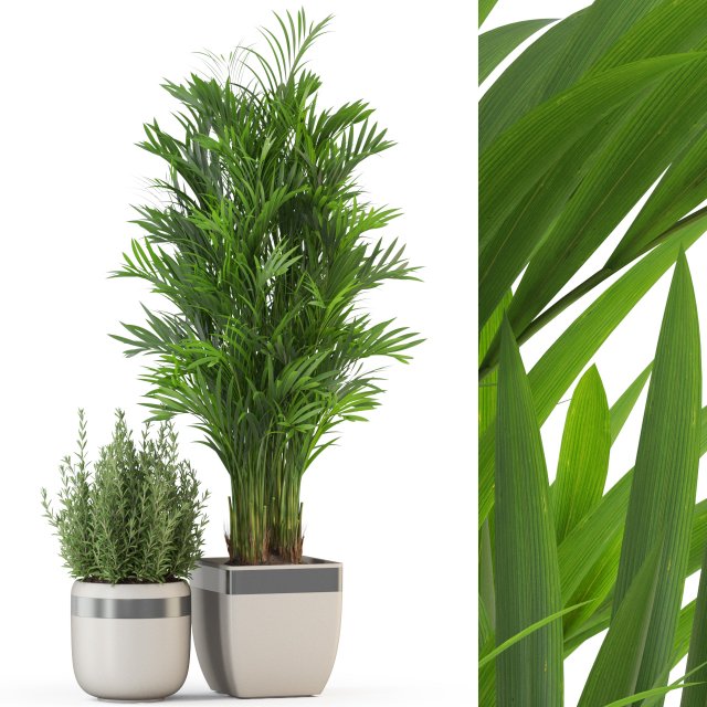 Plants collection 320 3D Модель .c4d .max .obj .3ds .fbx .stl .blend 