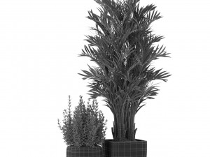 Plants collection 320 3D Модель