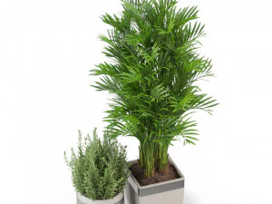 Plants collection 320 3D Model