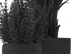Plants collection 320 3D Model