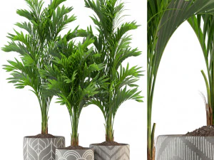 Colecci&oacute;n de plantas 321 Modelo 3D