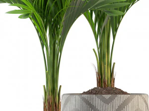 Plants collection 321 3D Model