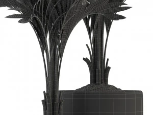 Plants collection 321 3D Model