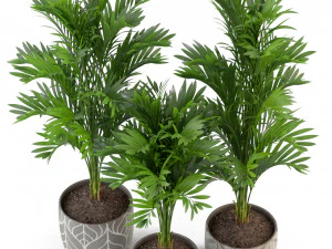 Plants collection 321 3D Model