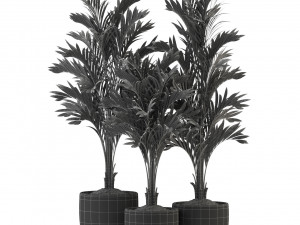 Plants collection 321 Modelo 3D