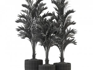 Plants collection 321 3D Model
