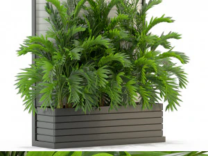 Коллекция растений 322 3D Модель