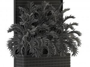Plants collection 322 3Dモデル