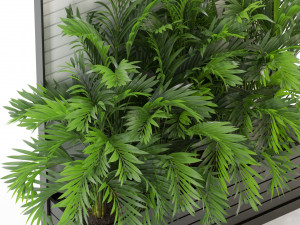 Plants collection 322 3Dモデル