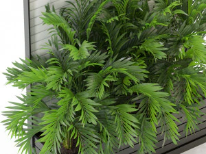 Plants collection 322 3D Model