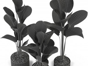Plants collection 323 Model 3D