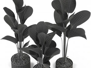 Plants collection 323 3D Model