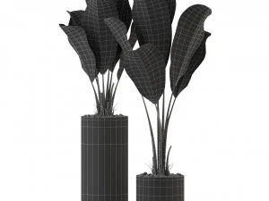Plants collection 324 3D Model